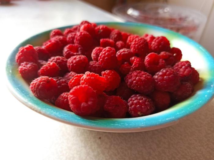 Уральские садоводы сообщают о небывалом урожае малины | Садоводы сообщают о хорошем урожае малины на Урале