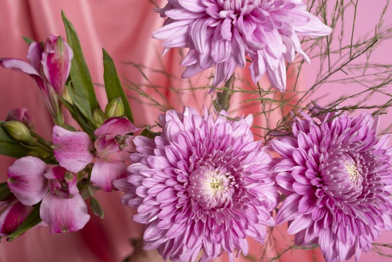 Белая ржавчина на хризантемах — инспекторы не пустили заражённые цветы в Свердловскую область | В Свердловской области уничтожили заражённые хризантемы из Нидерландов