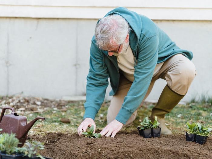 Садоводы из челябинского СНТ «Тимер» жалуются на захватчиков | В Аргаяшском районе садоводы жалуются на рейдеров