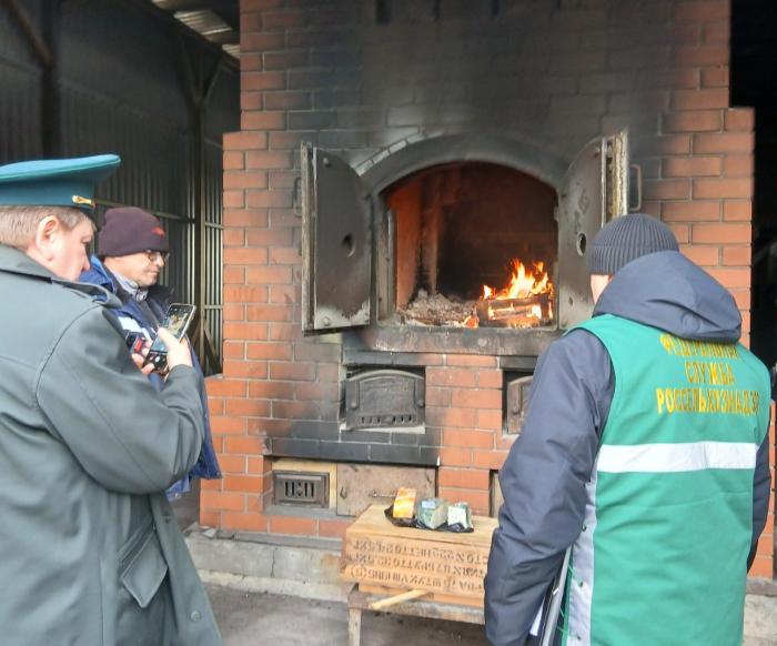 В Челябинске уничтожили сыр производства Голландии и Германии | Сыр из Германии и Голландии уничтожили в Челябинске