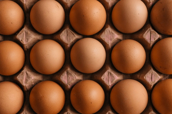 85 тысяч яиц завезли в Челябинскую область из Испании | На Южный Урал привезли из Испании 85 тысяч яиц