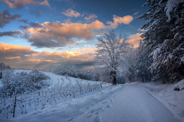 В Челябинской области возбудили дела из-за отключения света в 30-градусный мороз | Жителей двух деревень на Южном Урале оставили без света в сильный мороз В Челябинской области возбудили дела из-за отключения света в 30-градусный мороз | Жителей двух деревень на Южном Урале оставили без света в сильный мороз