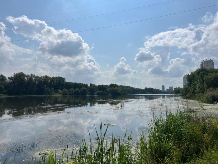 В Челябинске улучшилось качество воды в реке Миасс  | В реке Миасс в Челябинске улучшилось качество воды 