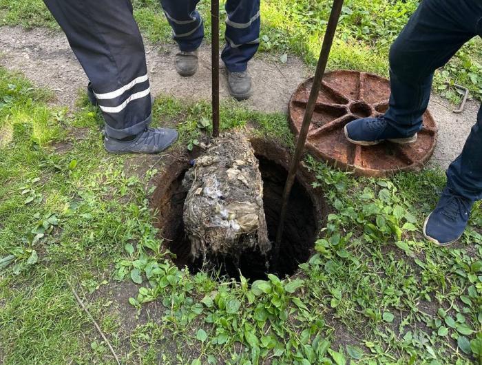Челябинцы стали выкидывать в унитаз овощи | Челябинский «Водоканал» назвал овощи одной из причин засоров канализации
