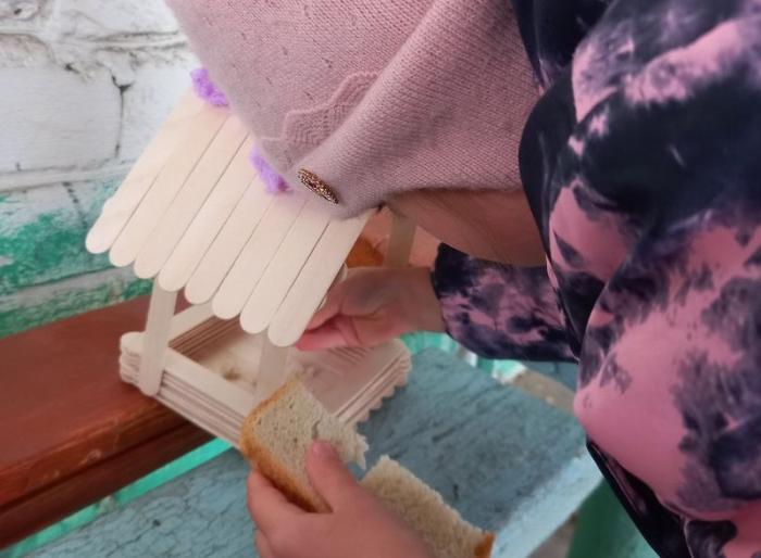 В Челябинской области 32 тысячи человек сделали кормушки для птиц 