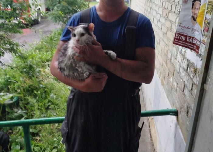 Спасли двух кошек — в Челябинске мужчина погиб при пожаре 