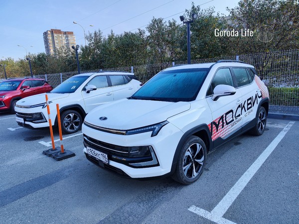 Новый риск — жители России могут лишиться машин 