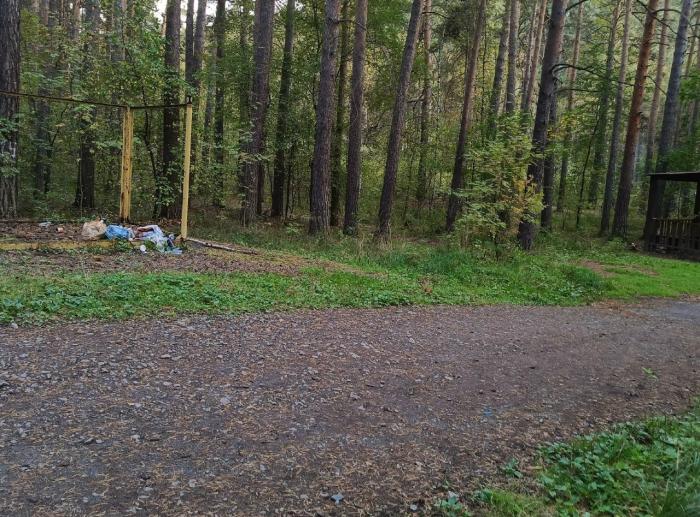 «Понастроили беседок» — челябинцы жалуются на мусор в городском бору 