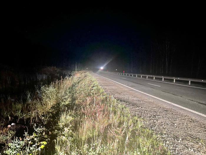 В Челябинской области водитель разбился в ДТП 