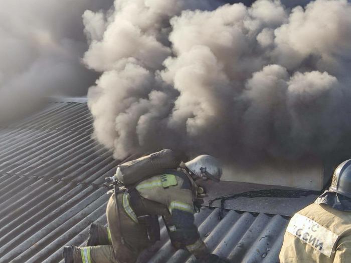 В Магнитогорске на птичнике произошёл крупный пожар 
