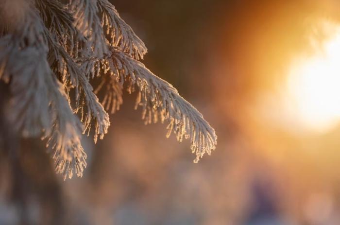 Синоптики раскрыли, какой будет погода на Южном Урале в январе 2026 года